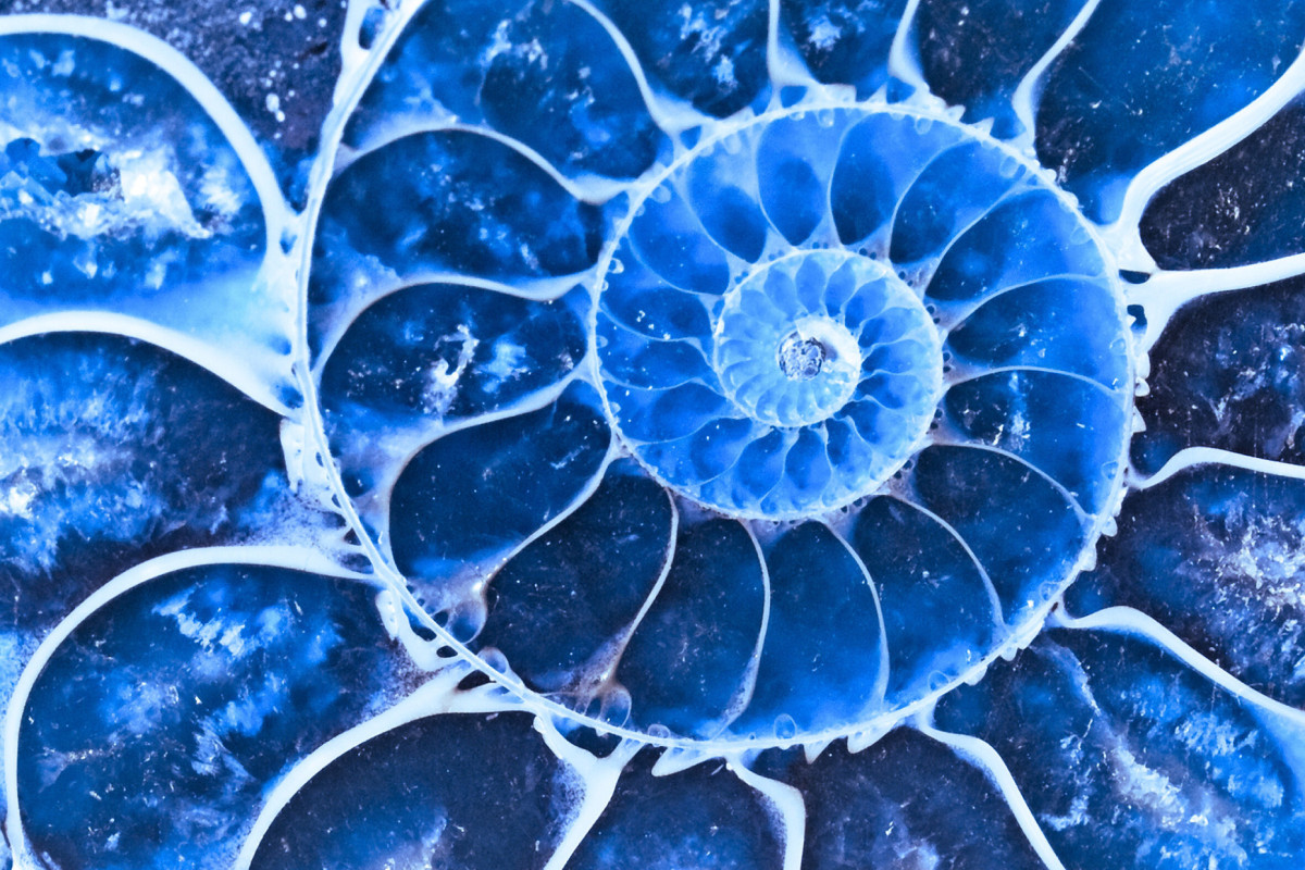 Bereich Palliativ- und Hospizarbeit